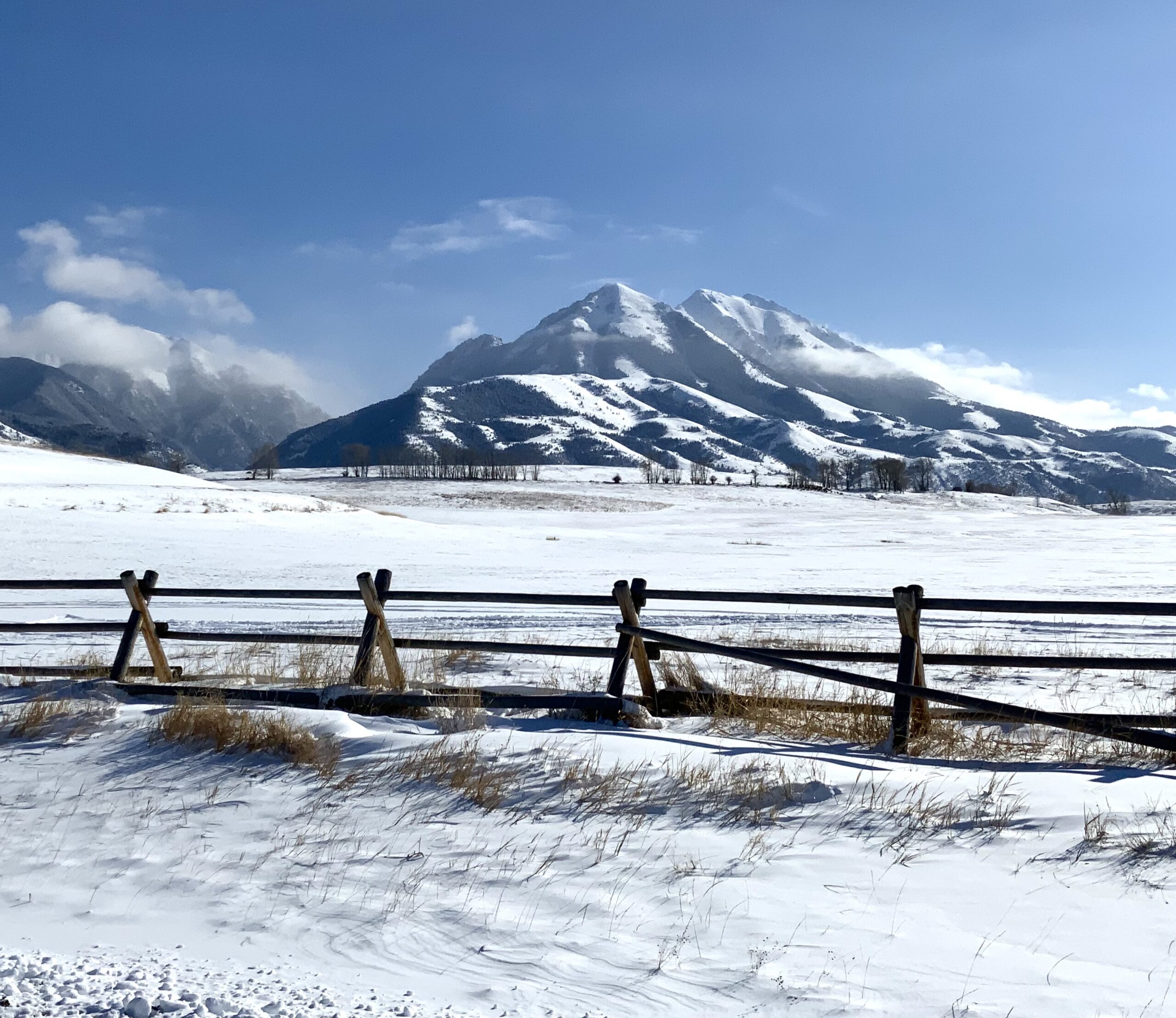Hamilton Montana